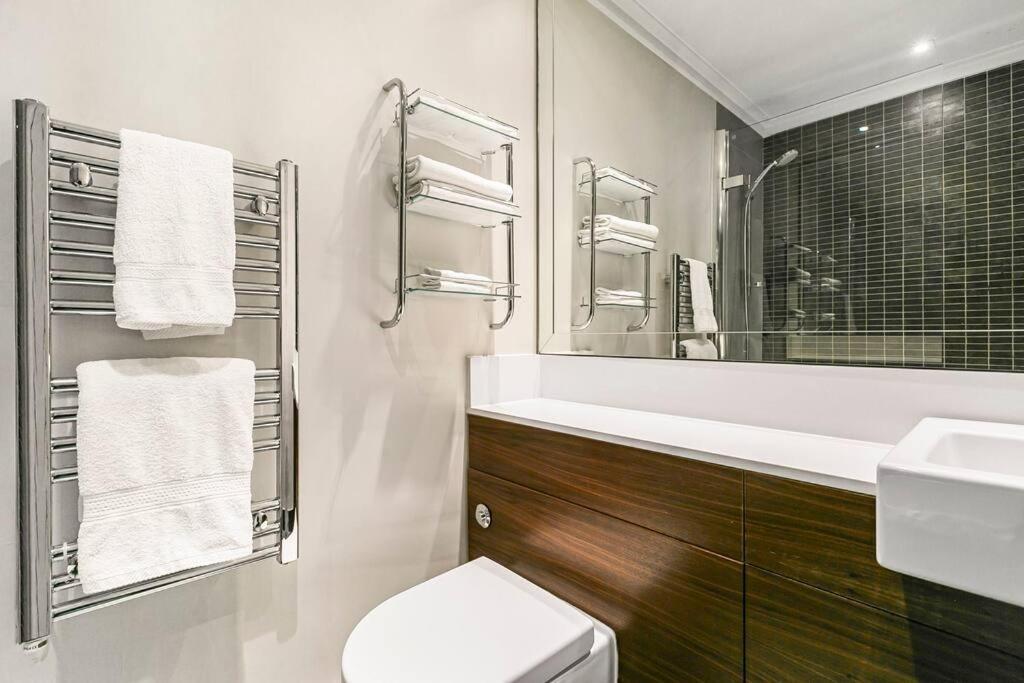 Penthouse Overlooking Hyde Park Londra